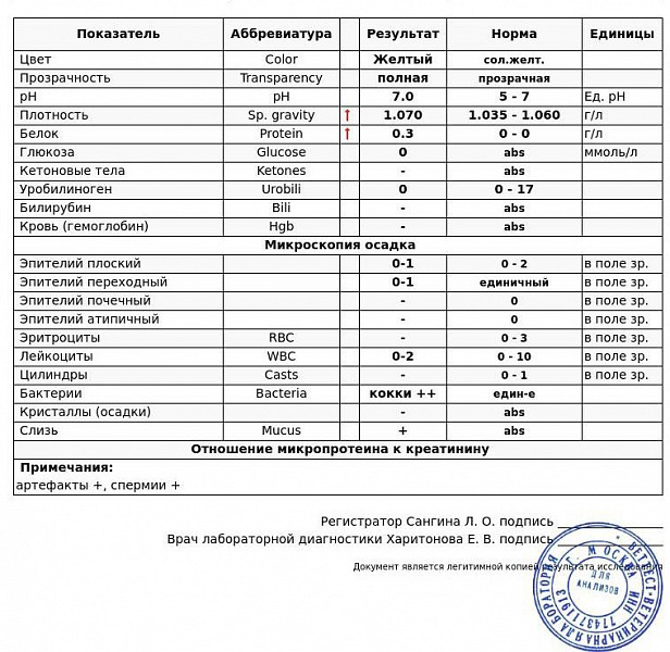 У кота повышен креатинин