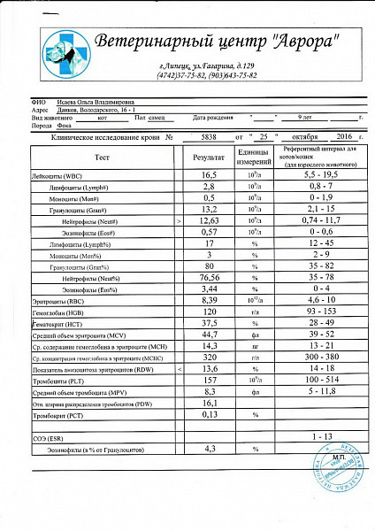 Алт повышена у кошки. Алт и АСТ У котов. У кота высокий алт и АСТ. Норма АСТ У кота. Норма алт у котов.