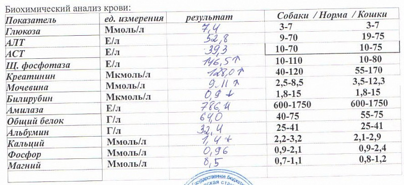 Биохимический анализ крови: основные показатели и их значение для оценки здоровь