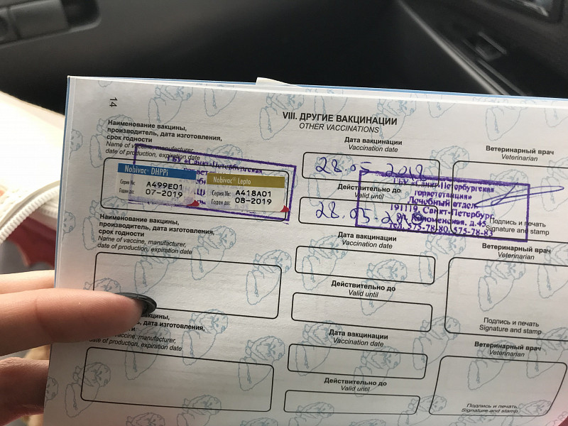 Код иммунизации. Ситрификат о вакцинация. Как выглядит qr код прививки от коронавируса. Сертификат о вакцинации ковид 19. Сертификат о прививках qr.