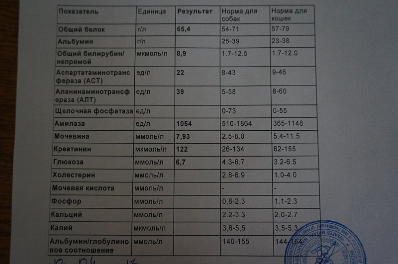 Альфа амилаза щелочная фосфатаза. Анализ биохимия крови норма амилаза. Биохимия крови амилаза норма. Амилаза и щелочная фосфатаза норма. Анализ мочи на амилазу норма.