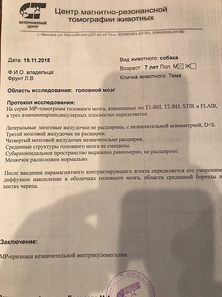 Появился сильный отек лунки после удаления коренного зуба - Москва