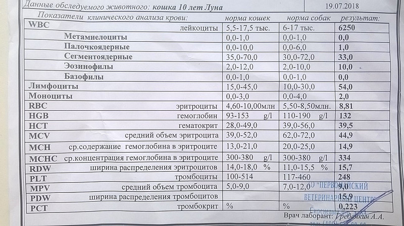 Причины повышенного тромбокрита в крови