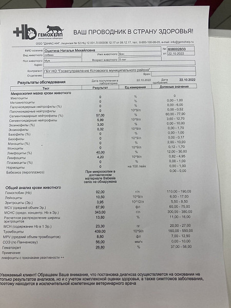 Норма креатинина для кт. Прибор анализа креатинина. Норма креатинина у собак. Анализ крови на содержание креатинина. Креатинин у собаки норма.