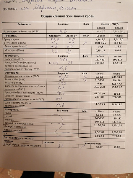 Индекс анизоцитоза эритроцитов повышен у женщины. Индекс анизоцитоза эритроцитов повышен у женщины