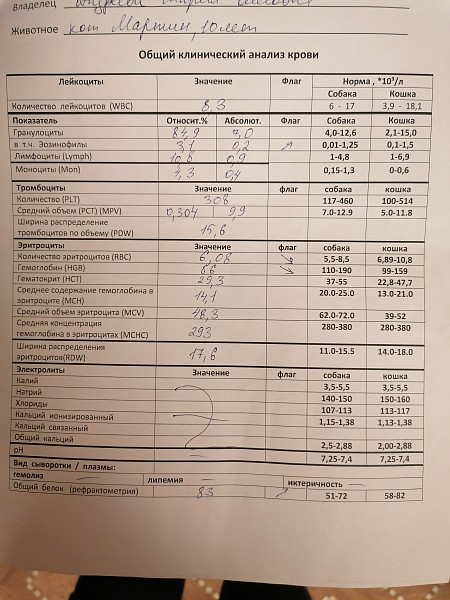 Норма креатинина у собак