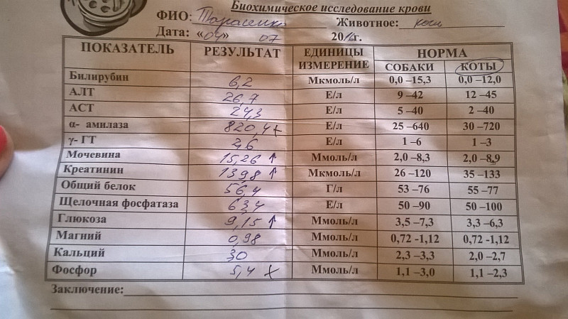 Аст 50 в крови у мужчины. Анализ крови билирубин алт АСТ норма. Общий анализ крови норма алт АСТ. Показатели в норме алт АСТ билирубин. Норма биохимического исследования крови алт АСТ.