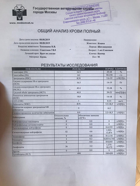 Схема лечения мкб у кошек