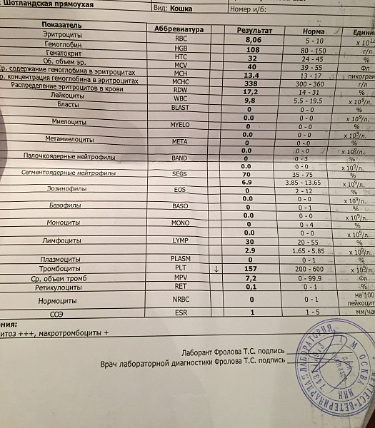 Какие анализы крови показывают почки