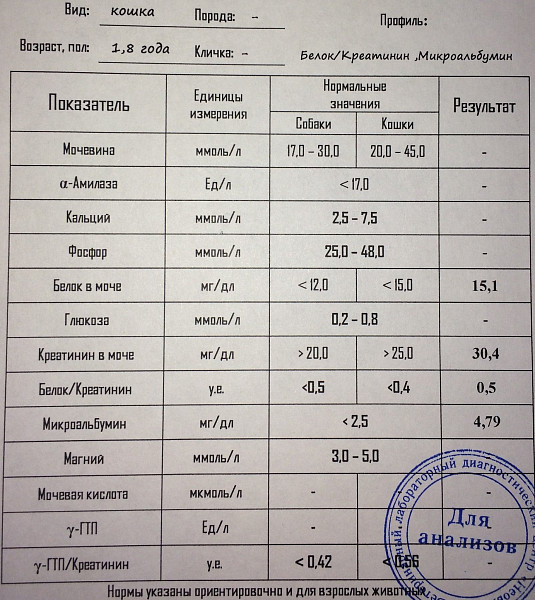 Понижена мочевина в крови что это значит