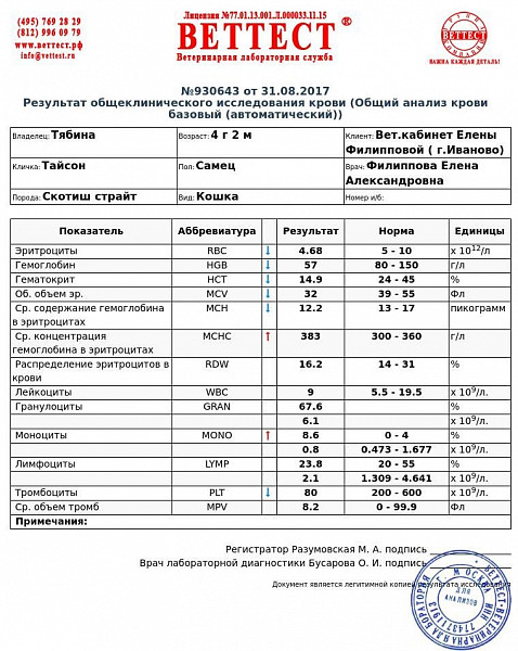 Анализы биохимии собаки. Анализ крови у собаки биохимия расшифровка. Показатели клинического анализа крови у собак ВЕТТЕСТ. Биохимический анализ крови у собак при почечной недостаточности. Биохимия исследования крови собаки.