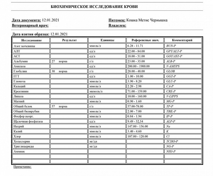 Вирус панлейкопении кошки: все о симптомах и лучших способах лечения