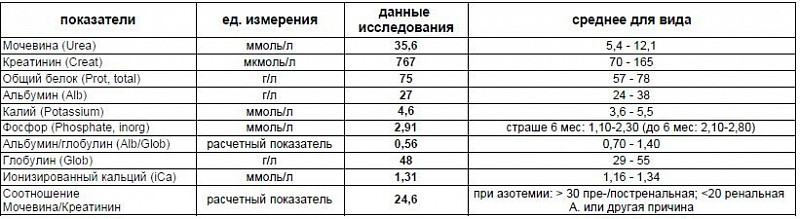 Белок креатинин соотношение в моче у кошек. Соотношение мочевины и креатинина у кошек. Соотношение мочевина/креатинин увеличивается. Соотношение мочевина/креатинин увеличивается при. Соотношение мочевина креатинин у кошек.