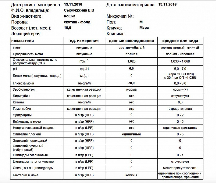 Слизь в моче плюс