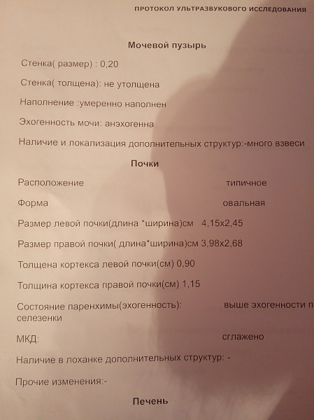 Протокол узи мочевого пузыря образец