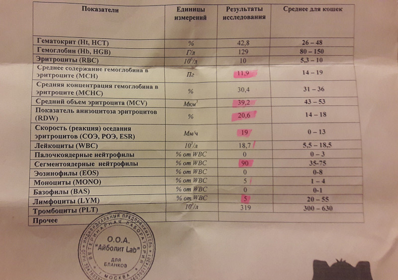 Какие анализы крови показывают почки