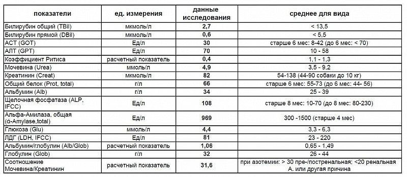 Показатель билирубин общий. Билирубин общий у собак норма. Билирубин расшифровка анализа. Билирубин общий и прямой норма. Билирубин единицы измерения.