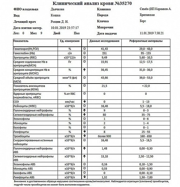 Rbc норма у мужчин. Анализ крови расшифровка WBC. WBC В анализе крови норма. WBC В анализе крови норма для женщин. Клинический анализ крови норма у женщин WBC.