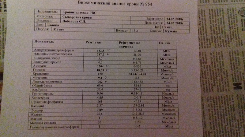 Сдавать кровь после кт