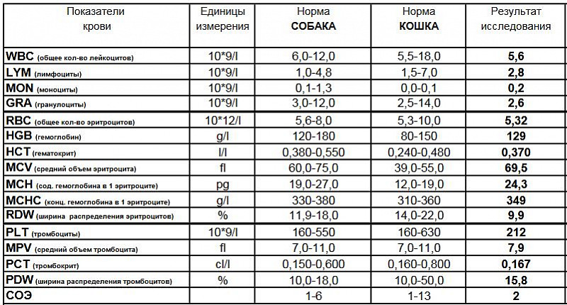 Норма глюкозы у собак