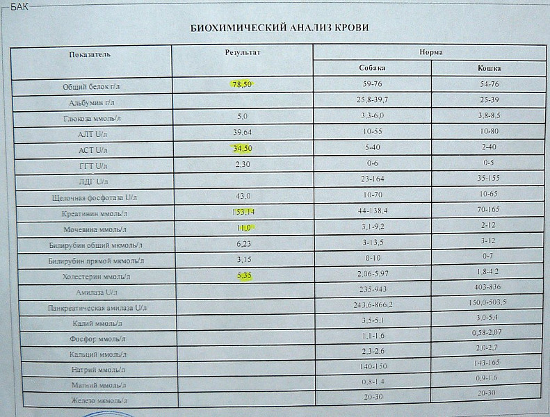 Белок норма у мужчин после 50. Анализ на белок. Общий белок в анализе крови. Общий белок анализ. Белки в общем анализе крови.