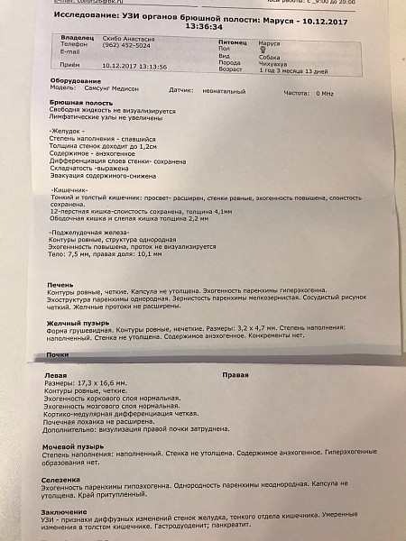 Презентация на тему узи брюшной полости