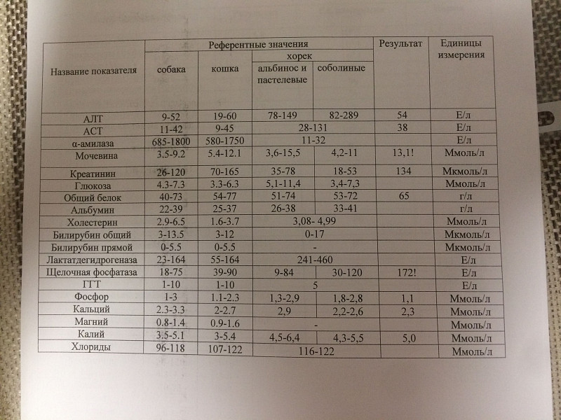 Щелочная фосфатаза повышена у щенка. Референтные значения креатинина. Норма щелочной фосфатазы у собак. Щелочная фосфатаза показатели. Щелочная фосфатаза единицы измерения.