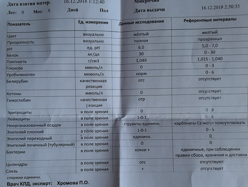 Какой белок мочи в норме