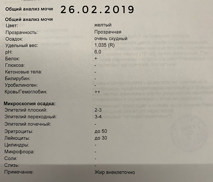 Микроскопия мочи расшифровка у женщин таблица у кота ХБП, идиопатический цистит, уролитиаз, лечение не помогает - 14 марта 201