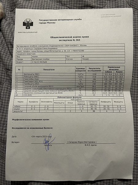 Почечная недостаточность у кота - 28 марта 2023 - Форум Зоовет