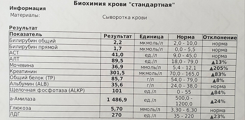 Что показывает общий анализ крови при раке. Биохимия крови анализ показатели. Показатели печени в биохимии крови. Анализ крови печень показатели. Показатели анализа на биохимии печени.