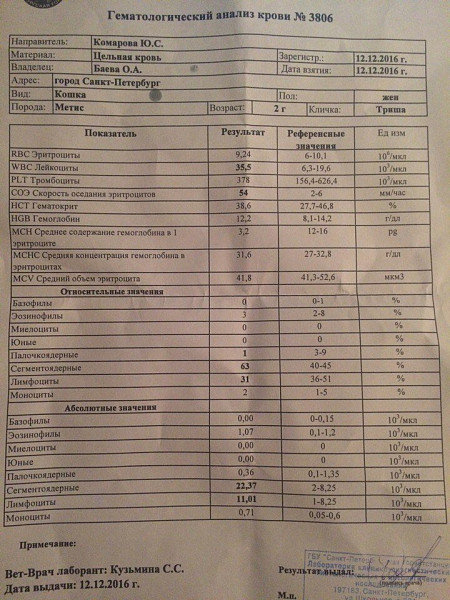 Форум расшифровал