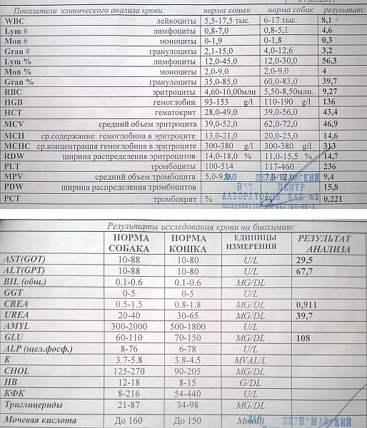 Pct повышен