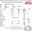 Бактерии кокки в моче у кошки что это. Смотреть фото Бактерии кокки в моче у кошки что это. Смотреть картинку Бактерии кокки в моче у кошки что это. Картинка про Бактерии кокки в моче у кошки что это. Фото Бактерии кокки в моче у кошки что это