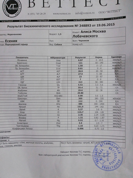 Направление на бруцеллез образец
