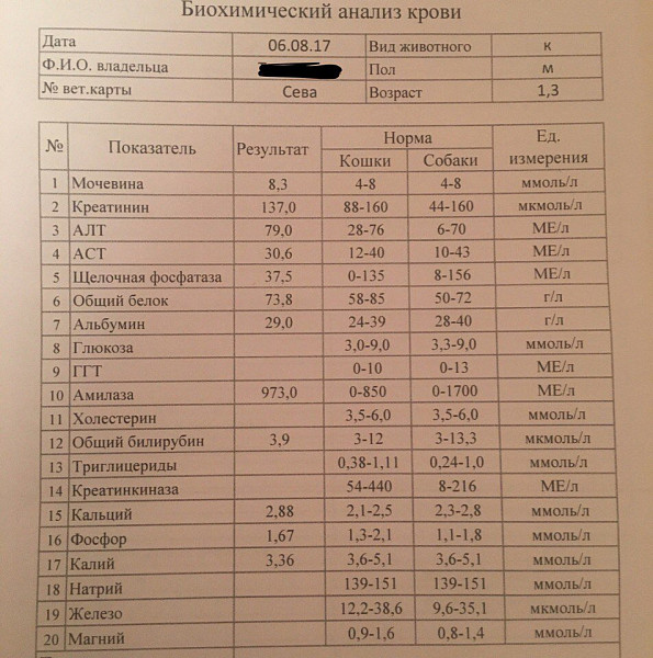 Анализ на креатинин сколько стоит. Биохимия крови креатинин. Биохимия крови креатинин норма. Биохимический анализ крови креатинин норма норма. Норма креатинина в биохимии крови.