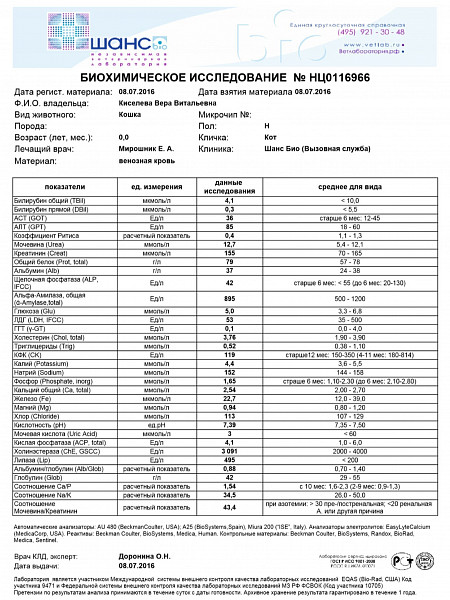 Биохимия крови кота. Показатели биохимии крови кошек норма. Нормы анализа крови биохимия для кота. Биохимия крови кошки норма. Нормы биохимии крови у кота.