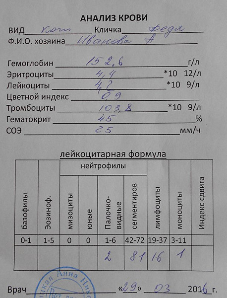 Какие анализы сдать в сад. Анализ крови при сахарном диабете. Общий анализ крови диабет. Общий анализ крови при сахарном диабете 2 типа. Анализ мочи анализ крови.