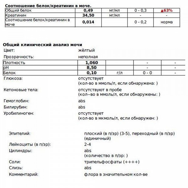 Белок креатинин в моче у кошек. Соотношение белка и креатинина в моче. Соотношение белок креатинин в моче у собаки. Соотношение белка и креатинина в моче у человека. Соотношение белок креатинин норма.