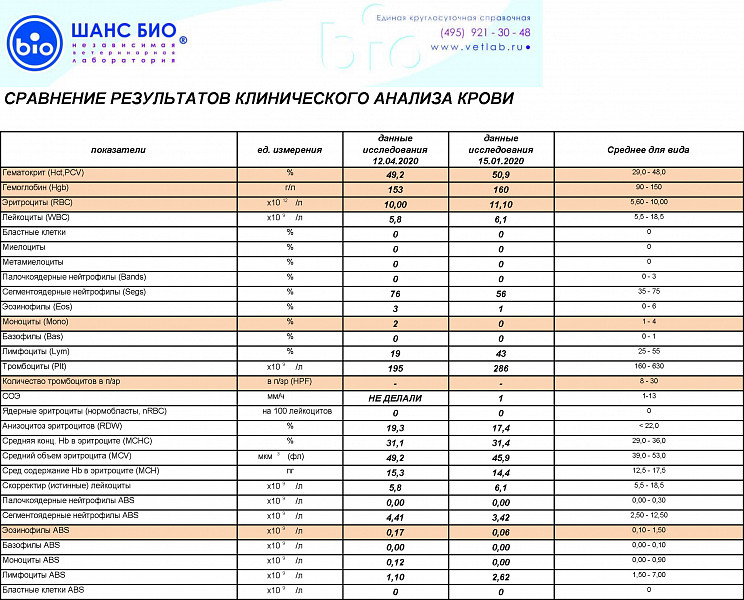 Расшифровка анализа крови на английском языке