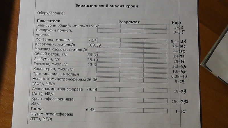 Биохимический анализ крови 1