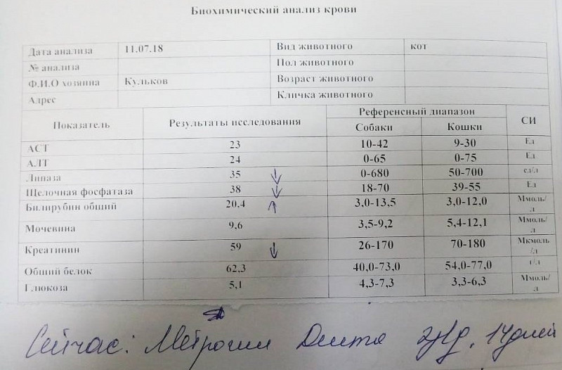 Анализ креатинин норма у мужчин. Креатинин норма мкмоль. Анализ крови на креатинин.