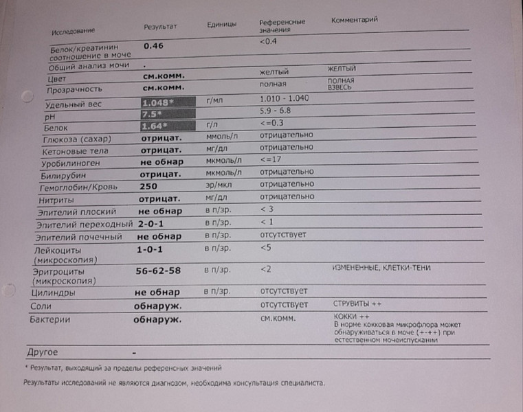 Моча ребенок лейкоциты эритроциты повышенные