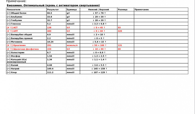 Алт повышена у кошки