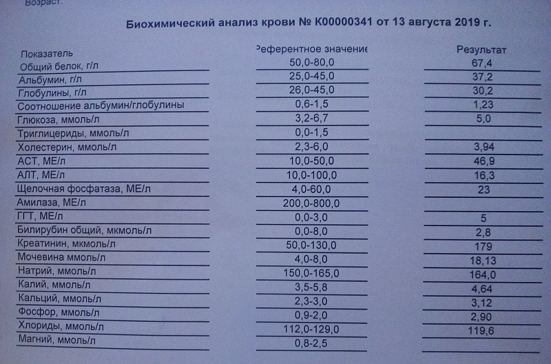 Можно ли по биохимическому анализу. Показатели биохимии крови при опухоли. Какие показатели биохимии крови при онкологии у женщин. Биохимический анализ крови при онкологии показатели. Общий анализ крови при онкологии показатели.