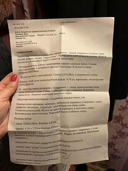 ПОМОГИТЕ! У кота почечная недостаточность - 10 января 2024 - Форум Зоовет