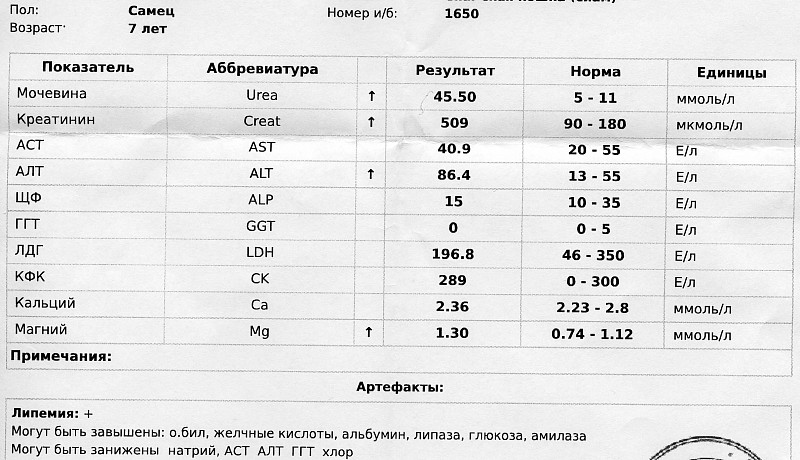 Аланинаминотрансфераза алт повышена что это значит