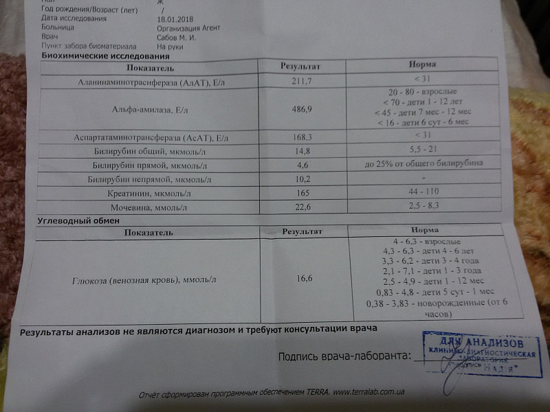 Альфа амилаза понижена в крови причины. Норма Альфа амилазы в крови. Амилаза анализ. Альфа-амилаза панкреатическая норма.