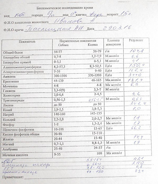 Биохимический анализ можно пить воду