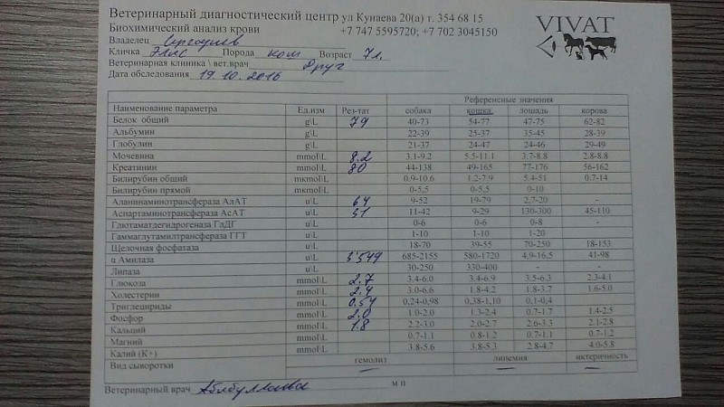 Алт систем. Биохимический анализ. Биохимический анализ крови из вены. Общий анализ крови кошки.